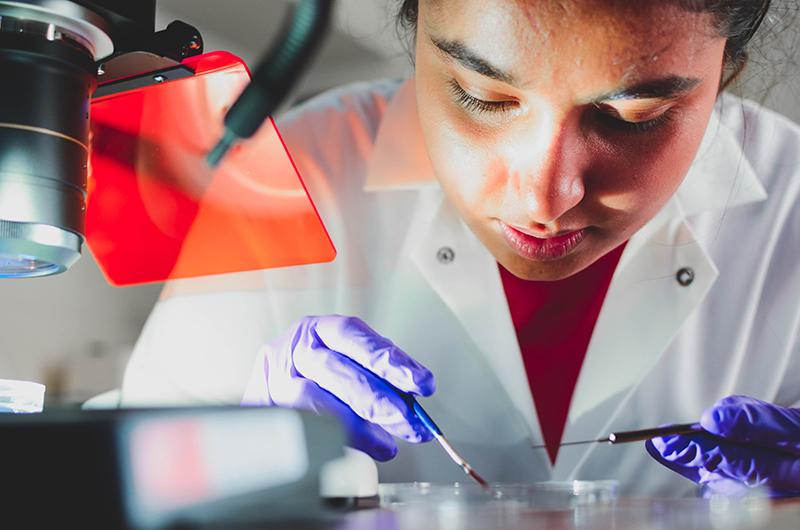 Student performing task in lab with petri dish and tools